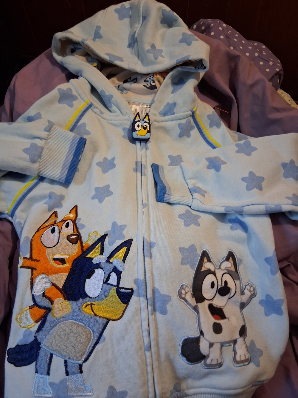 Blue Star Print Hooded Zip-Up Sweatshirt with Cartoon Pals